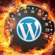 Wordpress Speed Optimization