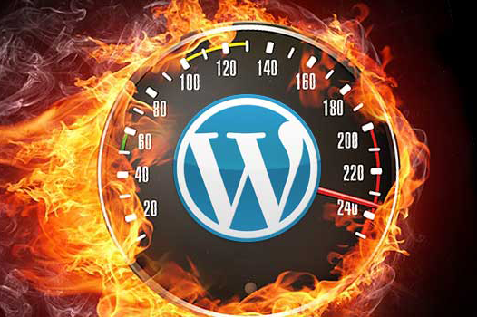 Wordpress Speed Optimization