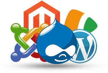Content Management Systems