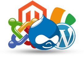 Content Management Systems